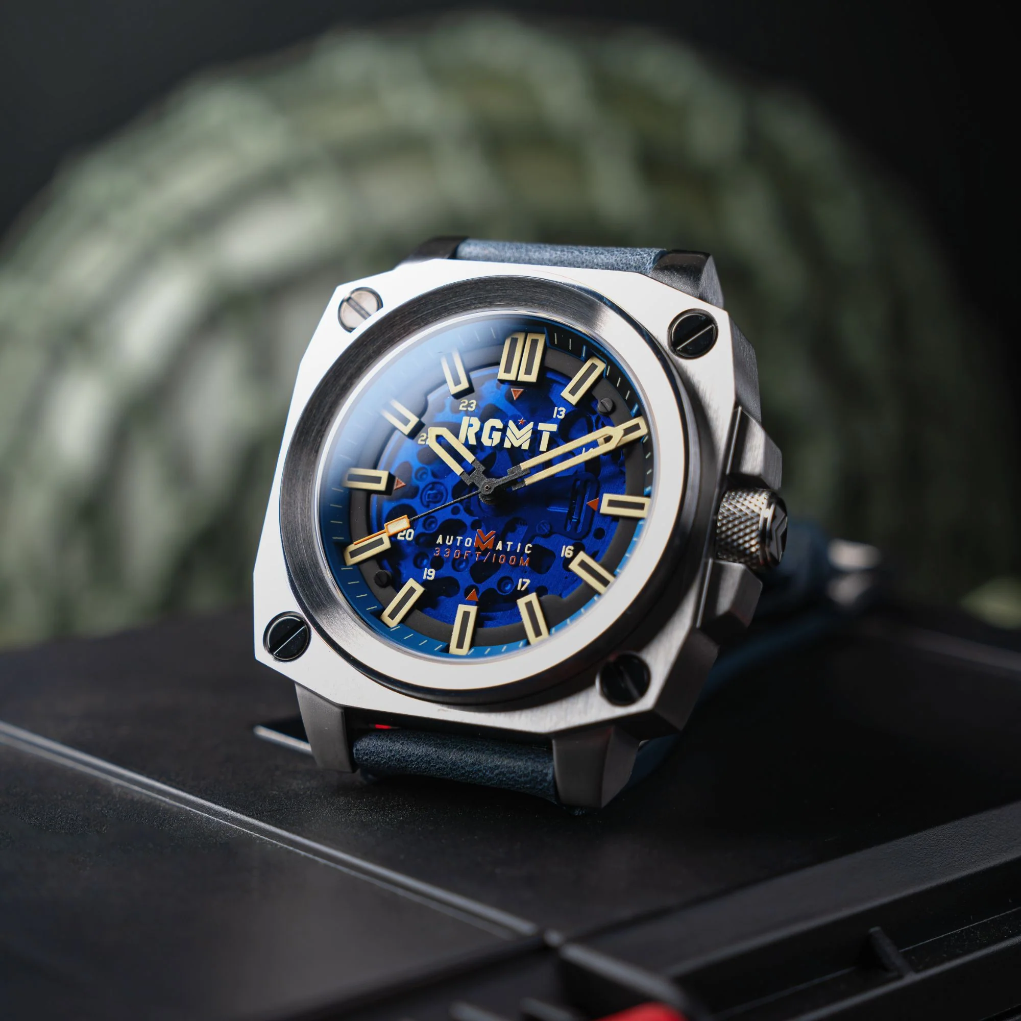 Admiral Blue - Image 6